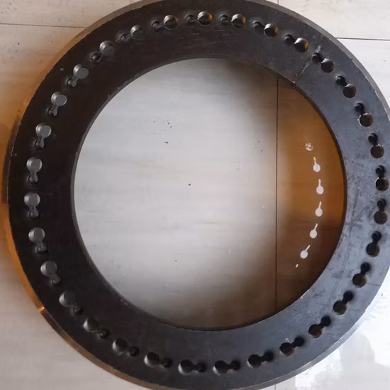 Carbon Steel Forging Flange Spun Pile End Plate