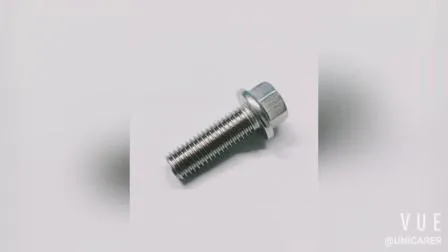 Ss 304/316 Flange Hexagonal Fastener Bolts 